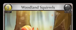 Woodland Squirrels